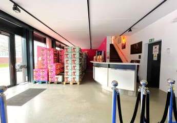 484017-Vorschaubild3