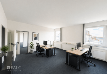 487623-Vorschaubild4