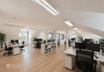 487624-Vorschaubild3