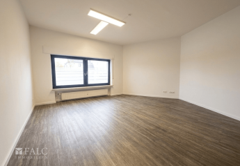 493030-Vorschaubild4