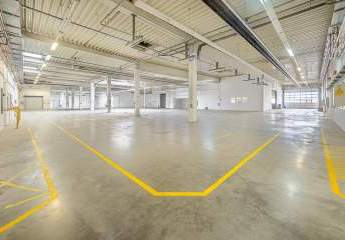 Neuwied aufgepasst: 2.900 m² Industriefläche – Top Lage – Ab Oktober 2025 frei!