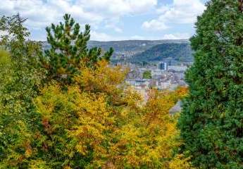 454320-Vorschaubild2