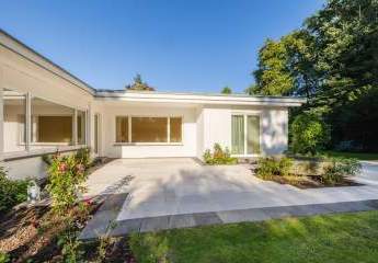 457337-Vorschaubild4