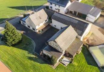 465120-Vorschaubild3