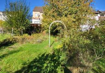 473437-Vorschaubild2