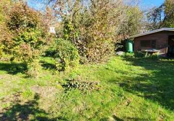 473437-Vorschaubild3