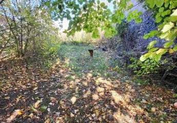 473437-Vorschaubild4