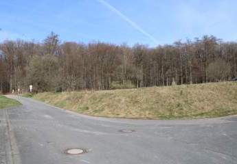 466385-Vorschaubild4