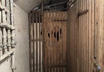 490441-Vorschaubild2