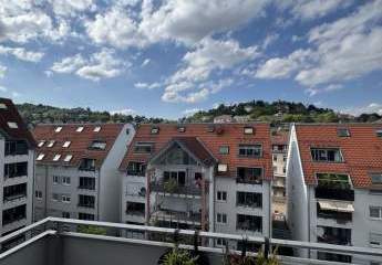 493570-Vorschaubild2