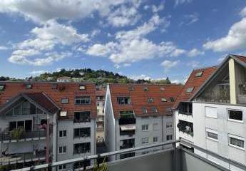 493570-Vorschaubild3