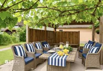 453262-Vorschaubild4