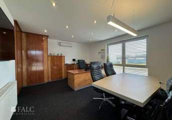 455856-Vorschaubild2