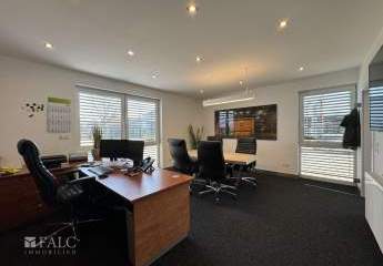 455856-Vorschaubild3