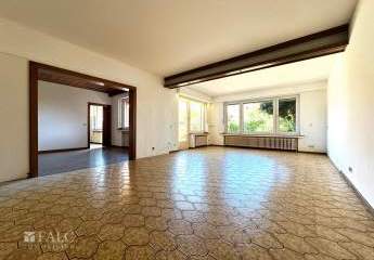 469961-Vorschaubild3