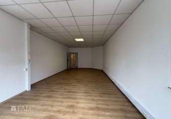 473893-Vorschaubild4