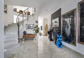 477707-Vorschaubild2