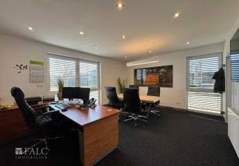 455856-Vorschaubild3