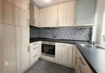 462541-Vorschaubild3