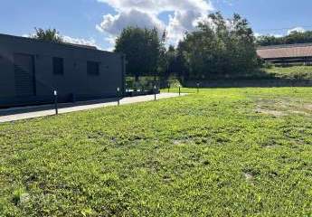 471952-Vorschaubild4