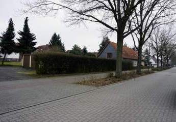 453385-Vorschaubild4