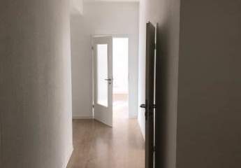 397667-Vorschaubild3