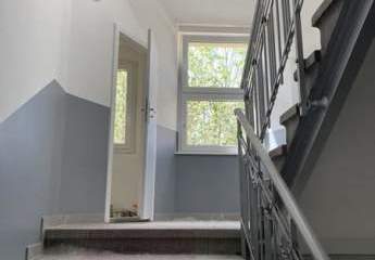 429813-Vorschaubild3