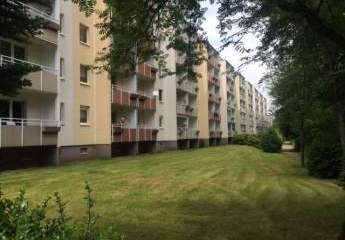 432499-Vorschaubild2