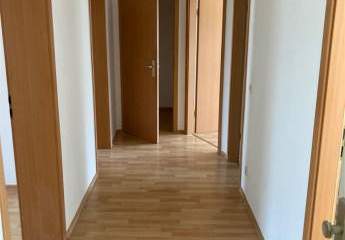 398987-Vorschaubild3