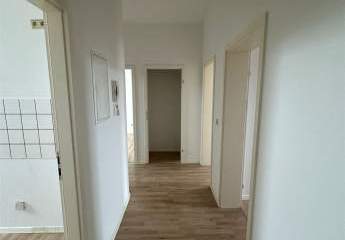 447608-Vorschaubild2