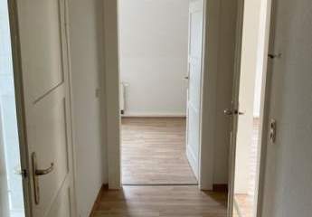 450291-Vorschaubild2