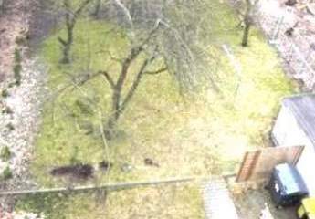 457694-Vorschaubild4