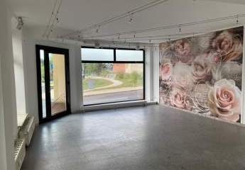 451055-Vorschaubild4