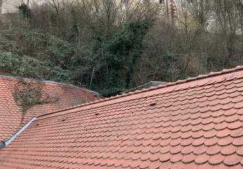 431509-Vorschaubild4