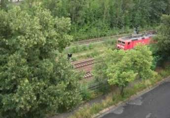 460622-Vorschaubild3