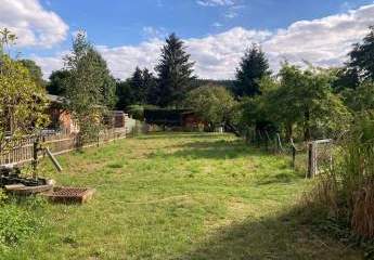 460897-Vorschaubild3