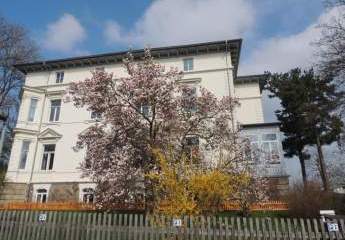 429333-Vorschaubild2