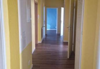 449310-Vorschaubild2