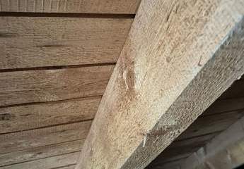 434381-Vorschaubild4