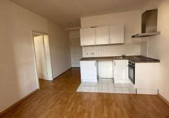 451351-Vorschaubild3