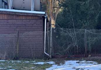 468684-Vorschaubild3