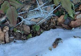 468684-Vorschaubild4