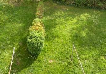 474143-Vorschaubild3