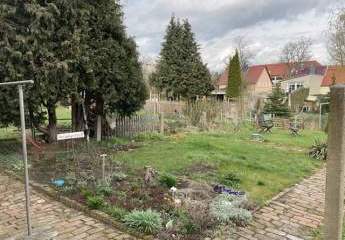 450295-Vorschaubild4