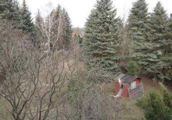 410127-Vorschaubild4