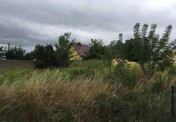 452831-Vorschaubild3