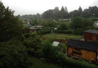 379325-Vorschaubild3