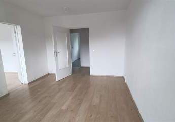 478490-Vorschaubild2