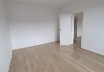 478490-Vorschaubild4