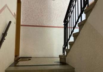 484391-Vorschaubild2